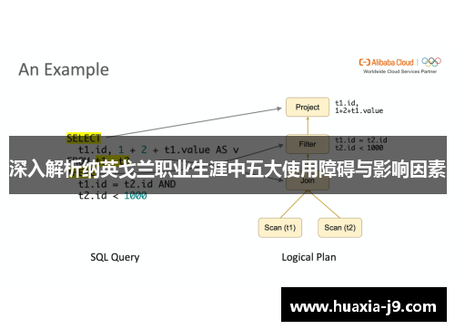 深入解析纳英戈兰职业生涯中五大使用障碍与影响因素