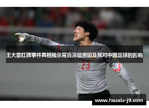 王大雷红牌事件真相揭示背后深层原因及其对中国足球的影响