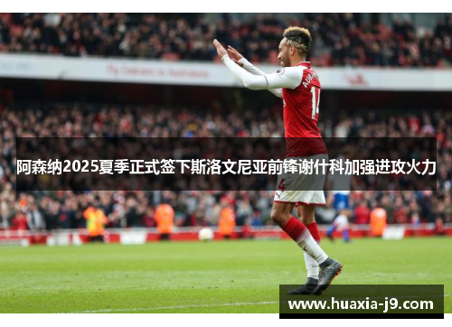 阿森纳2025夏季正式签下斯洛文尼亚前锋谢什科加强进攻火力 阿森纳2025夏季正式签下斯洛文尼亚前锋谢什科加强进攻火力