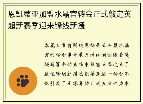 恩凯蒂亚加盟水晶宫转会正式敲定英超新赛季迎来锋线新援